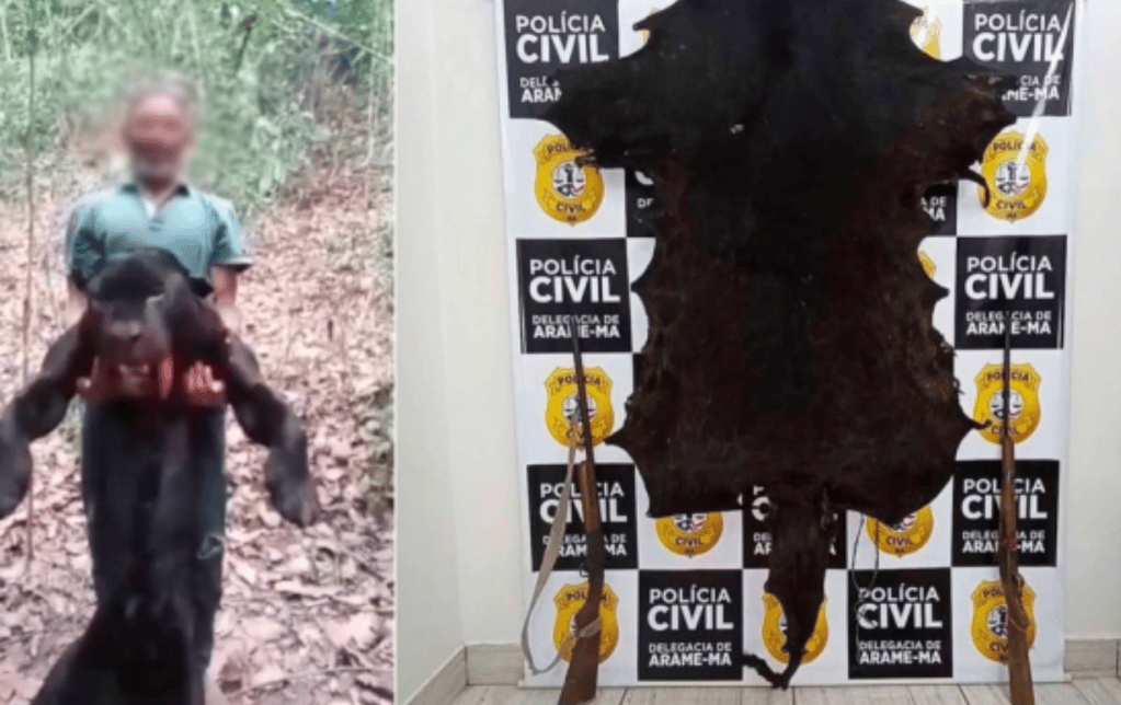 Homem que matou onça preta que estava em extinção é&nbsp;preso
