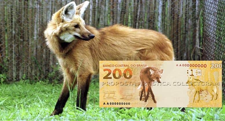 Cédula de R$ 200 entra em circulação&nbsp;hoje