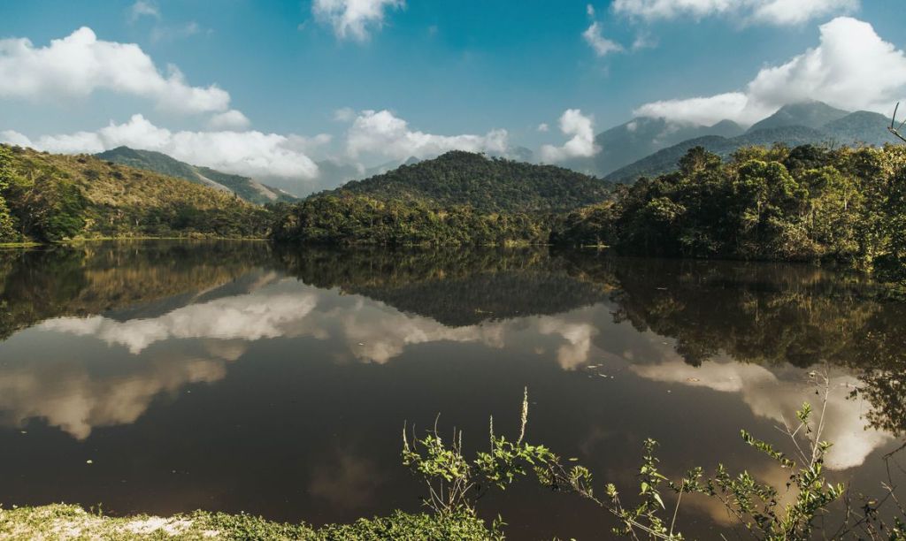 Projeto Guapiaçu lança trilha virtual na Semana do&nbsp;Meio