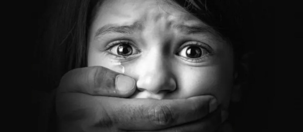 Câmara torna obrigatória placa com informações contra exploração sexual infantil em São&nbsp;Luís
