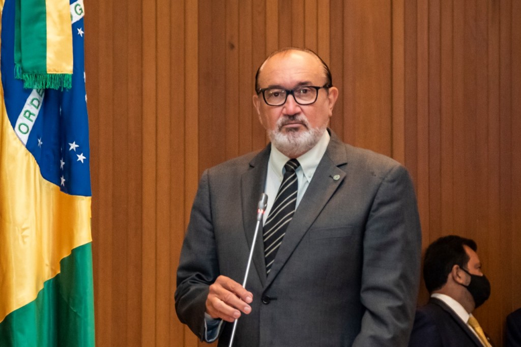 Assembleia aprova criação do Dia Estadual da Abelha&nbsp;Tiúba