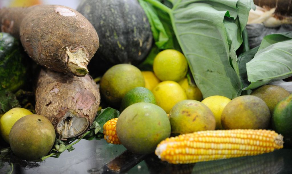 Guia do Ministério da Saúde traz dicas para alimentação de&nbsp;crianças