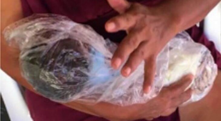 Recém-nascido é encontrado dentro de saco plástico em&nbsp;Raposa