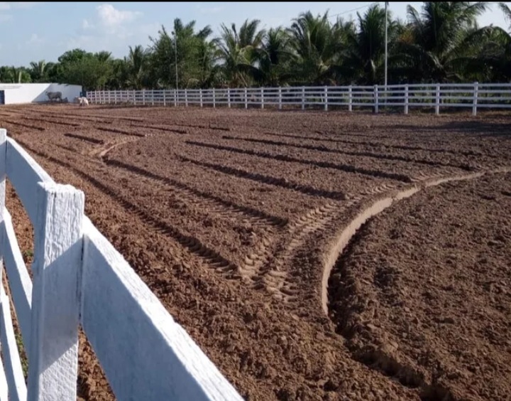 Governo do Maranhão sanciona lei que torna a vaquejada prática desportiva e cultural no&nbsp;Estado