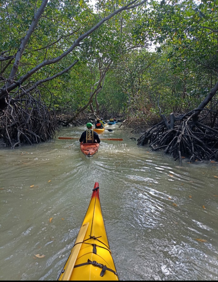 Ong Arte Mojó e Ecotrip Canoagem se unem para limpar trecho do Rio&nbsp;Paciência