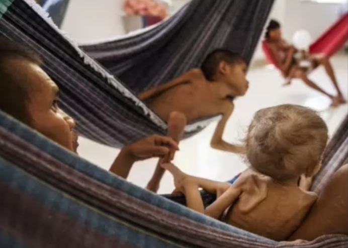PF investiga morte de três yanomami por garimpeiros em&nbsp;Roraima