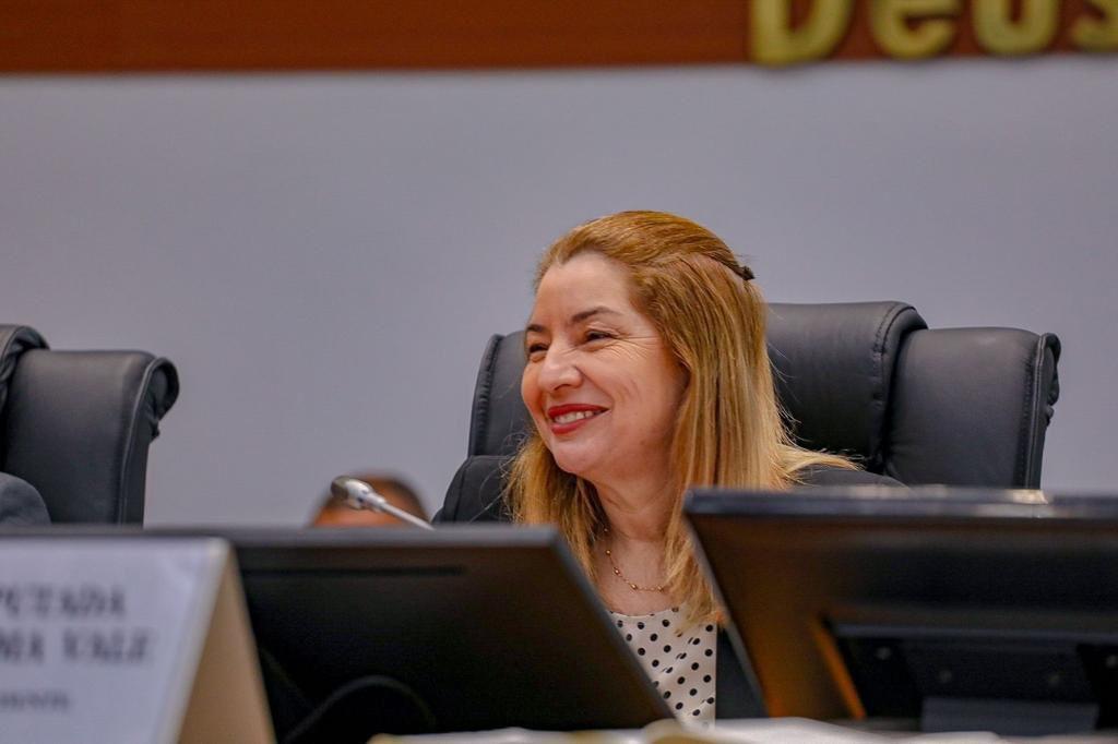 Iracema Vale propõe proibir eucalipto e grandes monoculturas para proteger Lençóis&nbsp;Maranhenses