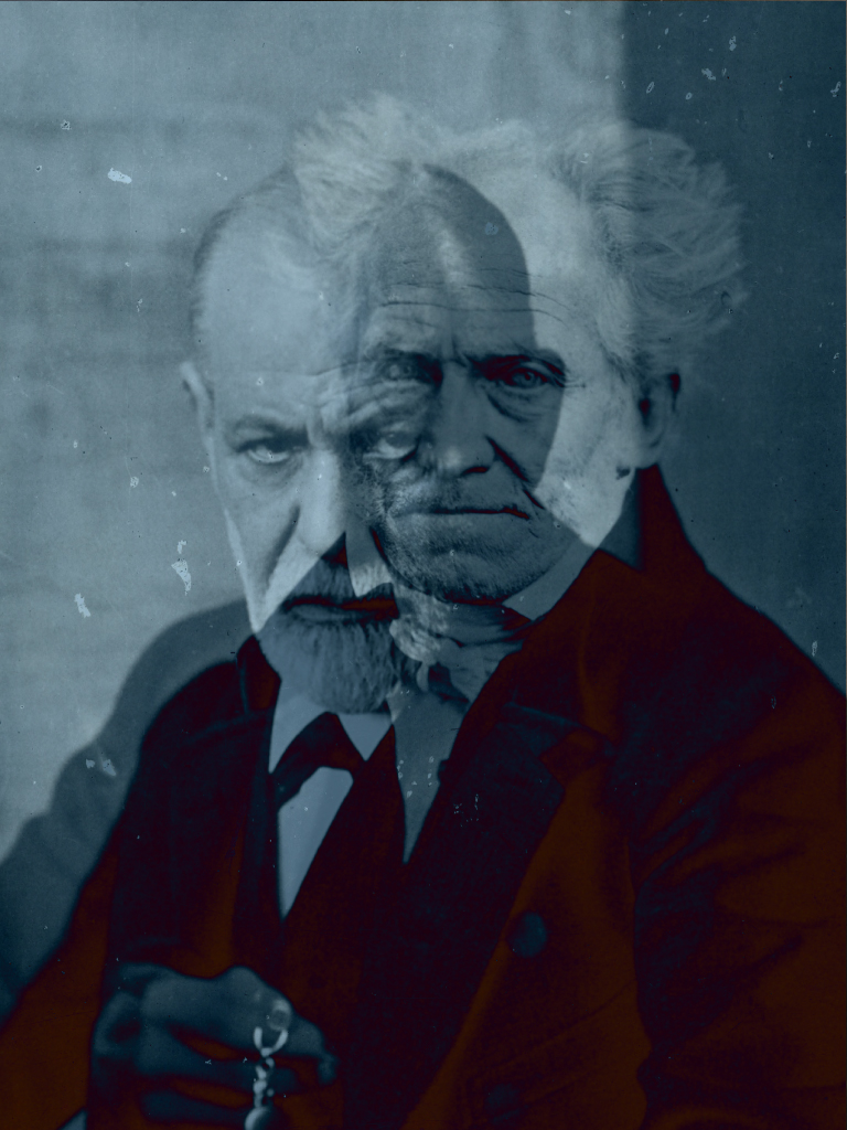 A presença filosófica de Schopenhauer nos pensamentos de&nbsp;Freud