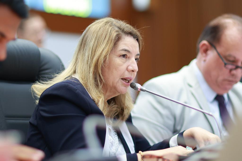 Aprovado PL de Iracema Vale que trata da preservação da região dos Lençóis&nbsp;Maranhenses