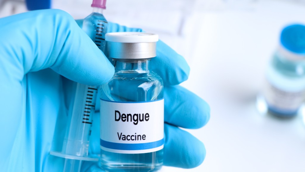 Vacina do Butantan contra dengue tem 79% de eficácia, diz&nbsp;estudo