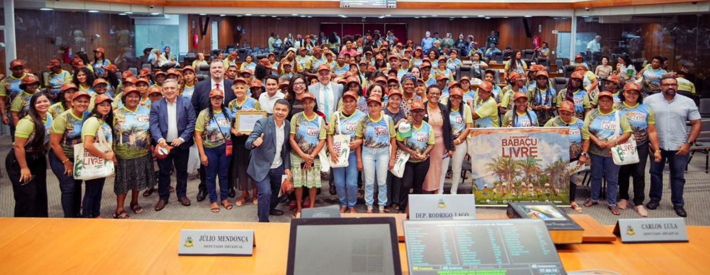Assembleia homenageia quebradeiras de coco babaçu em sessão solene